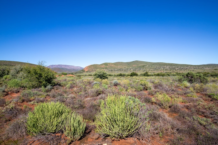  Bedroom Property for Sale in Oudtshoorn Rural Western Cape